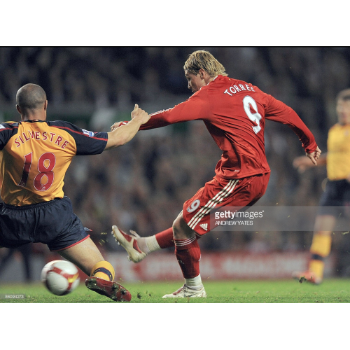 Mikael Silvestre Arsenal Match Worn 20008/09 Season Away Football Shirt
