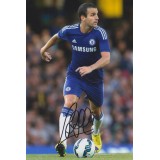 Cesc Fabregas Signed 8x12 Inch Chelsea Photograph