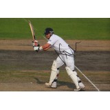 Ian Bell England 2013 Ashes Hero Signed 8x12 Photograph