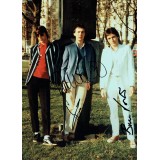 The Jam Signed By Weller, Foxton & Buckler 16x12 Photograph RARE