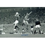 John Fitzpatrick Signed 1968 Manchester Utd 12x8 Photograph