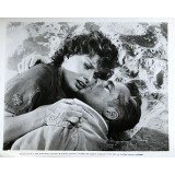 Sophia Loren Autograph Signed 1957 Film The Pride & The Passion 10x8 Photograph