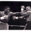 FRANK BRUNO  BOXING SIGNED  A4 PHOTOGRAPH REPRINT# 213 