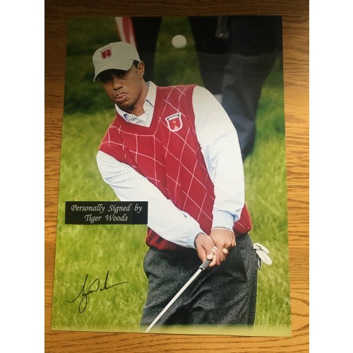 Tiger Woods 17x12 Signed 2010 Ryder Cup Damaged Photograph