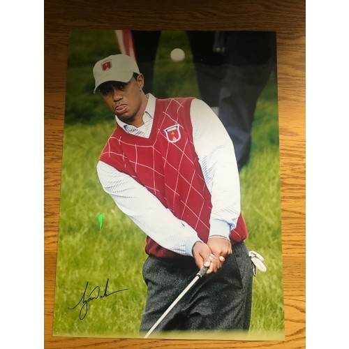 Tiger Woods 17x12 Signed 2010 Ryder Cup Damaged Photograph