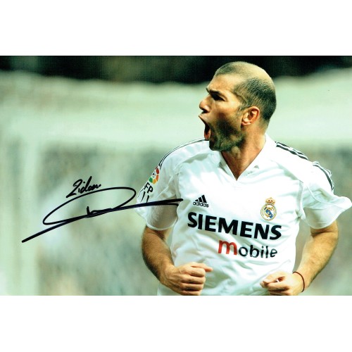 Zinedine Zidane Signed 12x8 Real Madrid Football Photograph