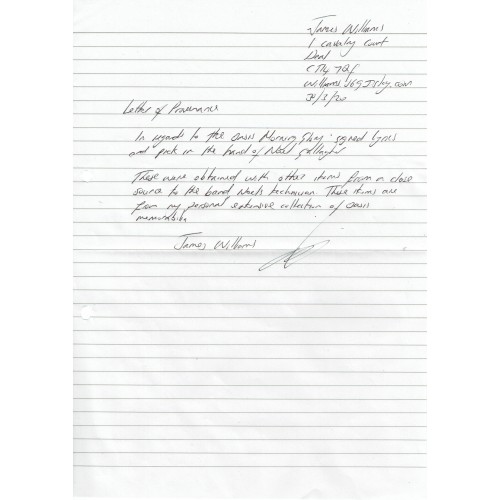 Oasis Noel Gallagher Signed Handwritten Lyrics From 'Morning Glory' & Used Signed Pick